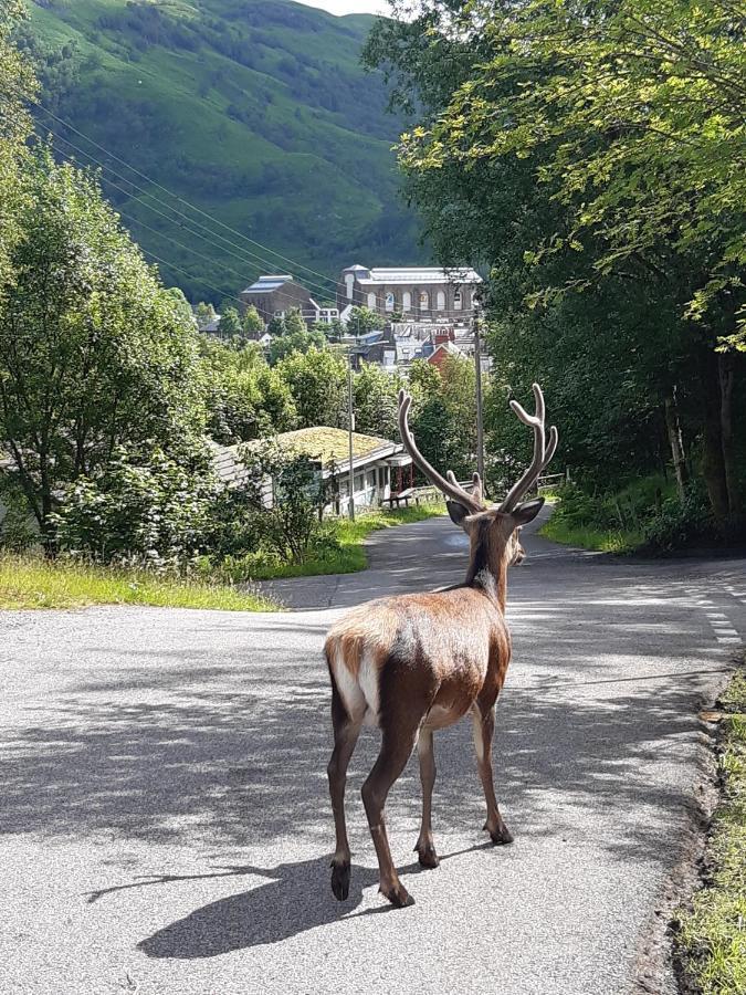 Riverside Pod, West Highland Way Holidays Kinlochleven Εξωτερικό φωτογραφία