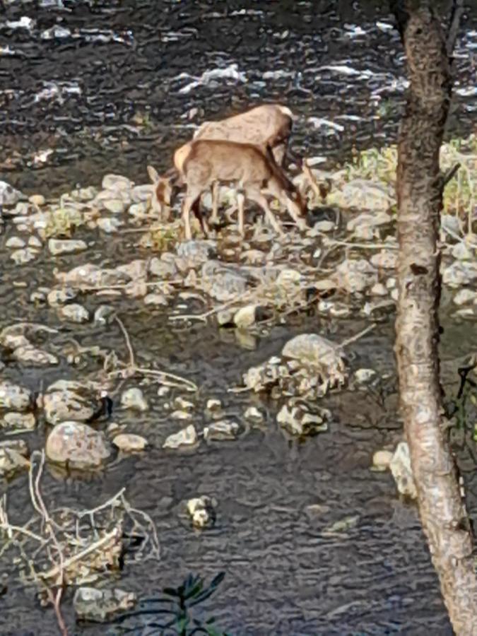 Riverside Pod, West Highland Way Holidays Kinlochleven Εξωτερικό φωτογραφία